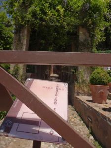 Who knows what's up there?