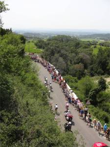 Fans line the streets